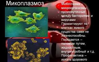 Моча с резким запахом: о чем говорит и какому врачу обратится?