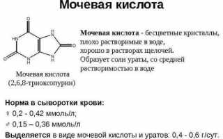 Нормы содержания мочевой кислоты в моче: причины появления и меры профилактики