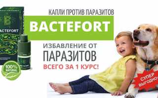 Сравнение цен на капли от паразитов Бактефорт в аптеке и на сайте