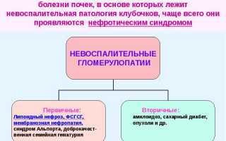 Улучшение работы почек: как с помощью упражнений и питания восстановить их функциональность