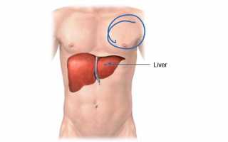 С какой стороны находится печень у человека?