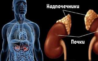 Причины и симптомы истощения надпочечников, способы восстановления желез