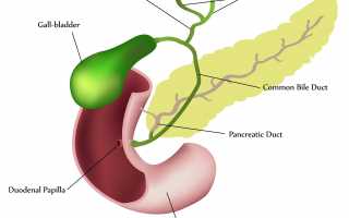 Чем вызвана дисфункция желчного пузыря?