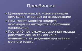 Преимущества и недостатки бифокальных контактных линз — ТОП-10 лучших моделей