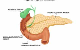 Где находится и почему болит поджелудочная железа?