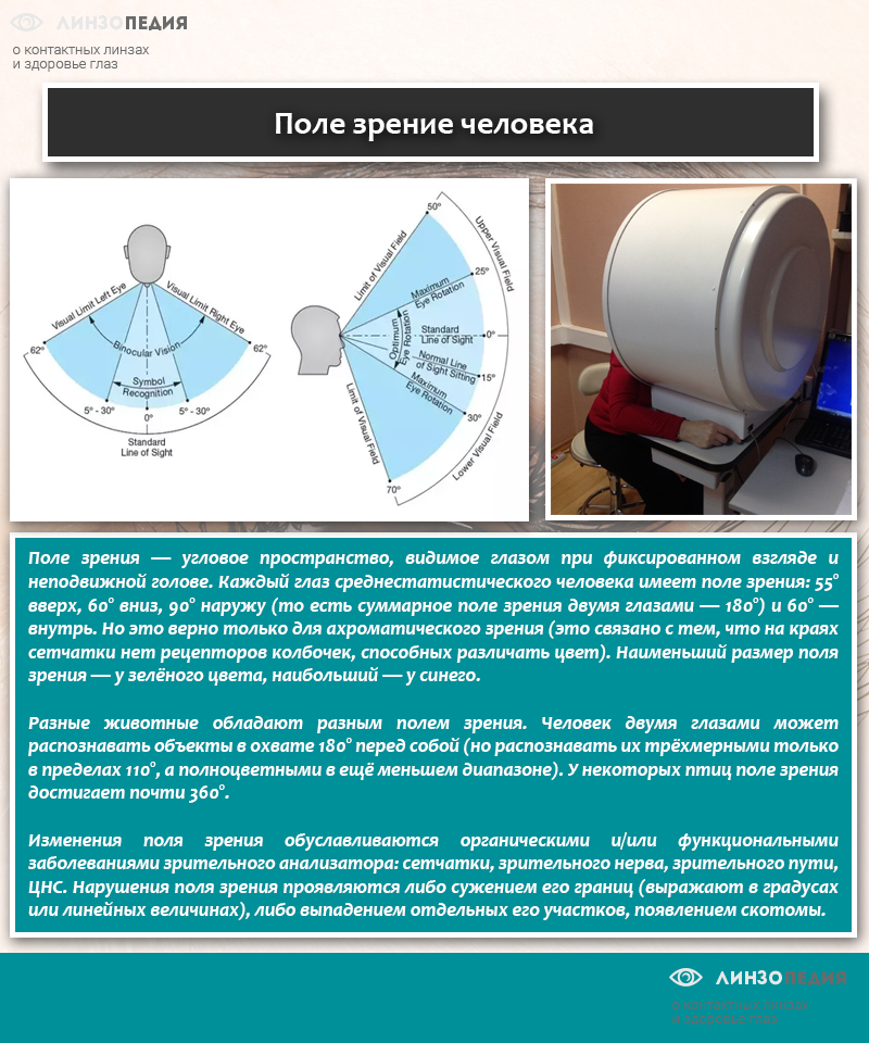 Скотома глаза - что это такое: причины, симптомы, лечение